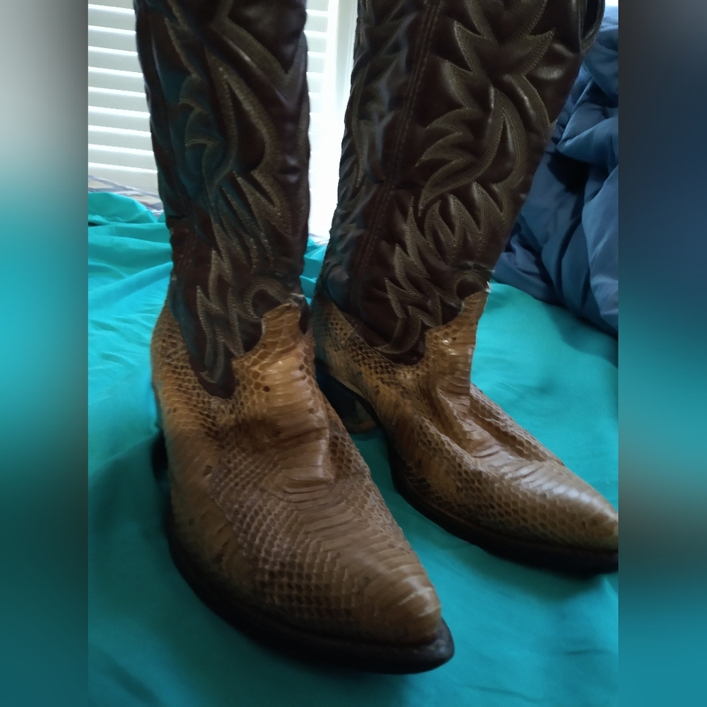 Pointed Beige Python Boots 9d - image 1